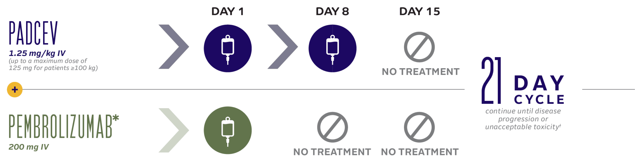 21-day dosing cycle for PADCEV in combination with pembrolizumab.