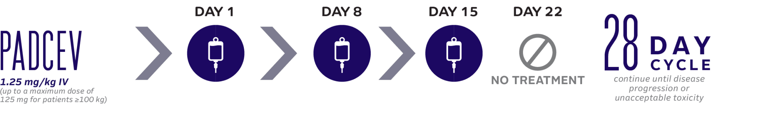 PADCEV monotherapy 28-day dosing cycle.