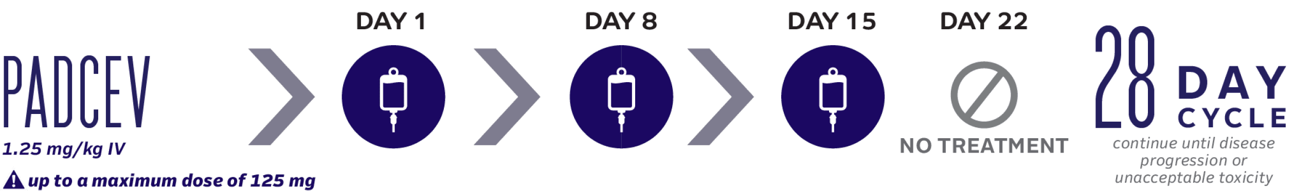 PADCEV monotherapy 28-day dosing cycle.