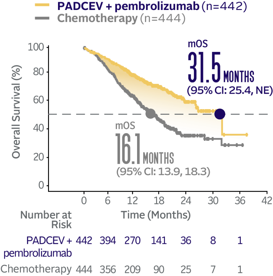 Graph showing 31.5 months median overall survival with PADCEV + pembrolizumab and 16.1 months median overall survival with chemotherapy.