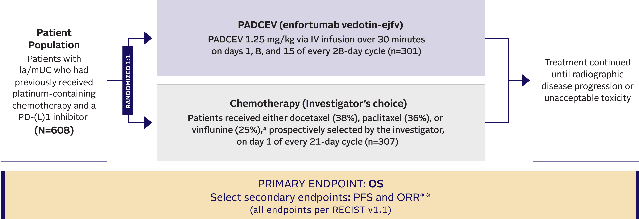 PADCEV EV-301 trial study design.