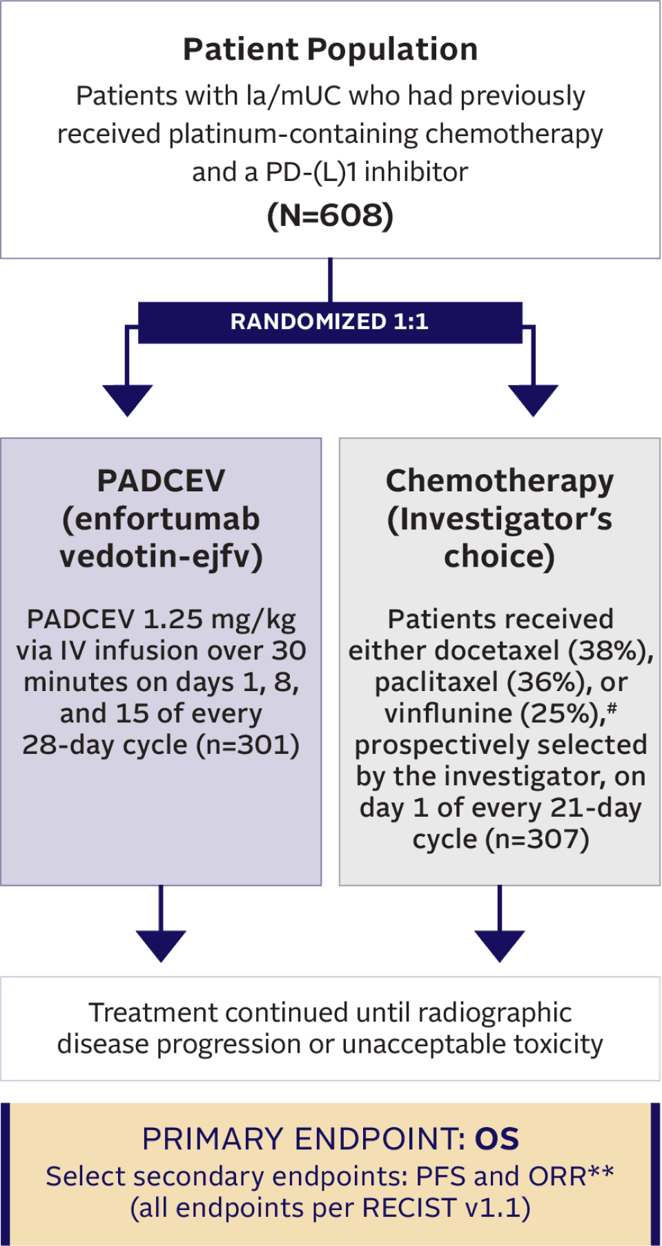 PADCEV EV-301 trial study design.