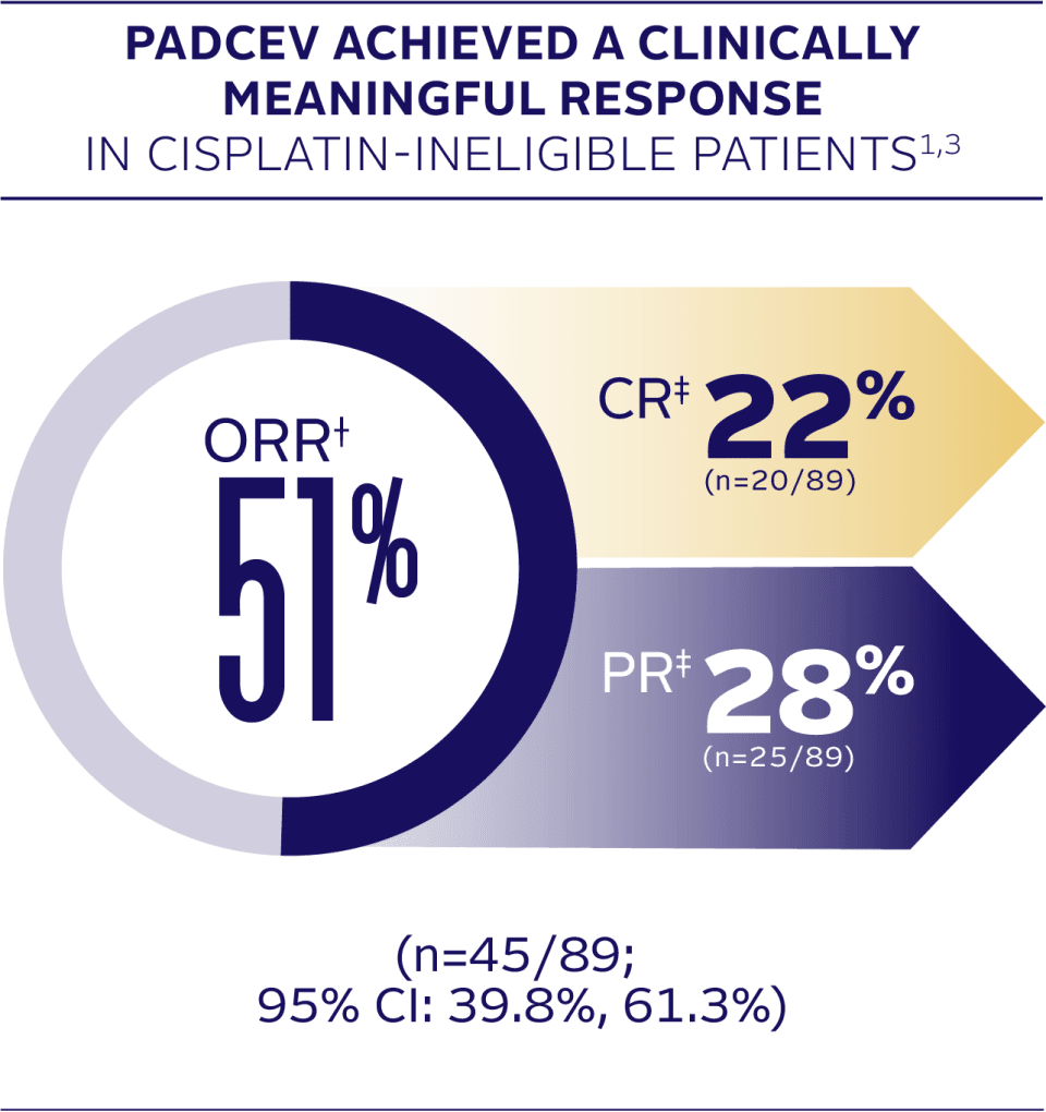 PADCEV achieved a clinically meaningful response in cisplatin-ineligible patients. The objective response rate for PADCEV was 51%, complete response = 22%, partial response = 28%.