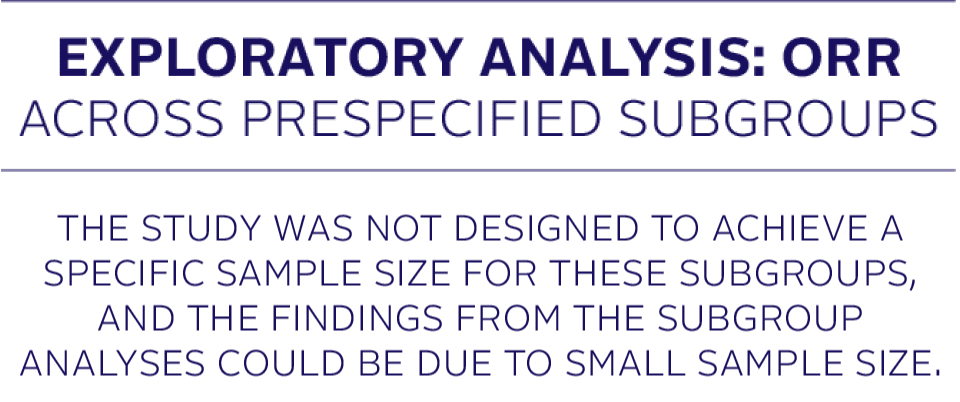 Exploratory Analysis: ORR across prespecified subgroups. The study was not designed to achieve a specific sample size for these subgroups, and the findings from the subgroup analyses could be due to small sample size.