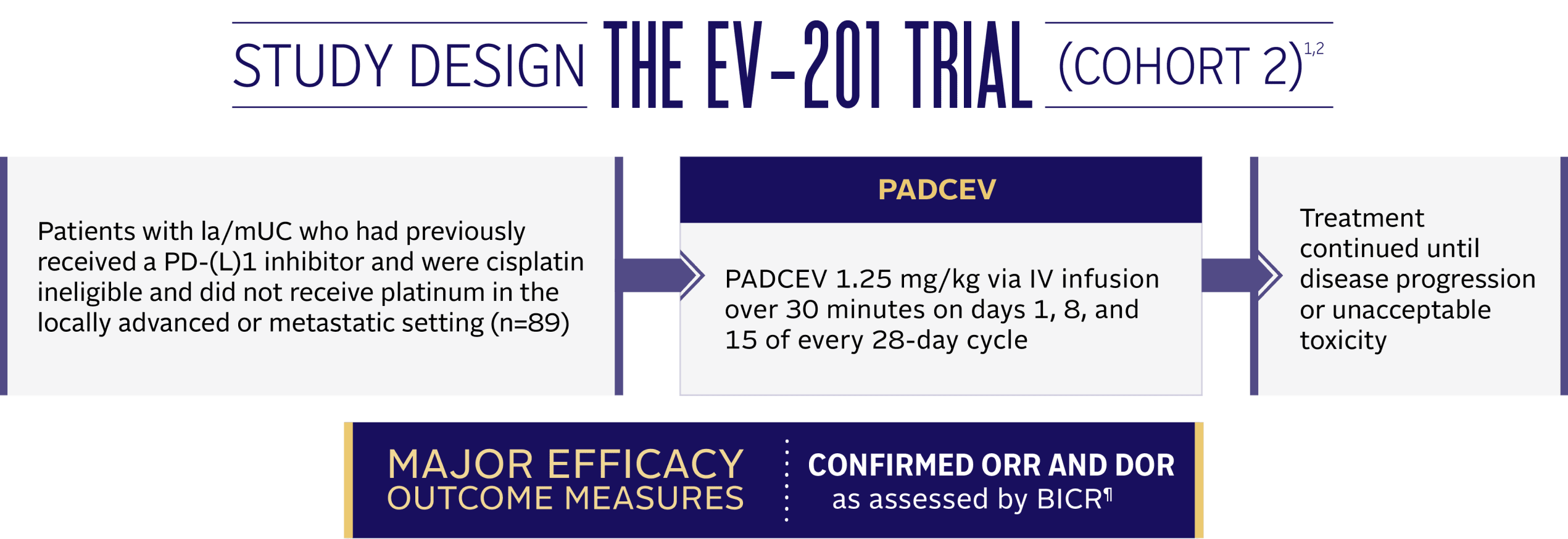 Study design in the EV-201 Trial (Cohort 2).