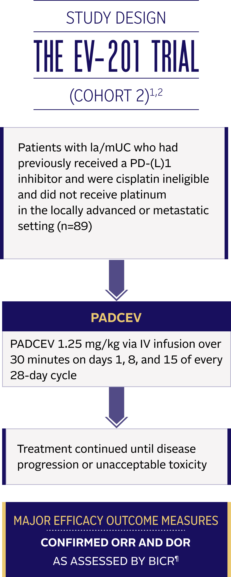 Study design in the EV-201 Trial (Cohort 2).