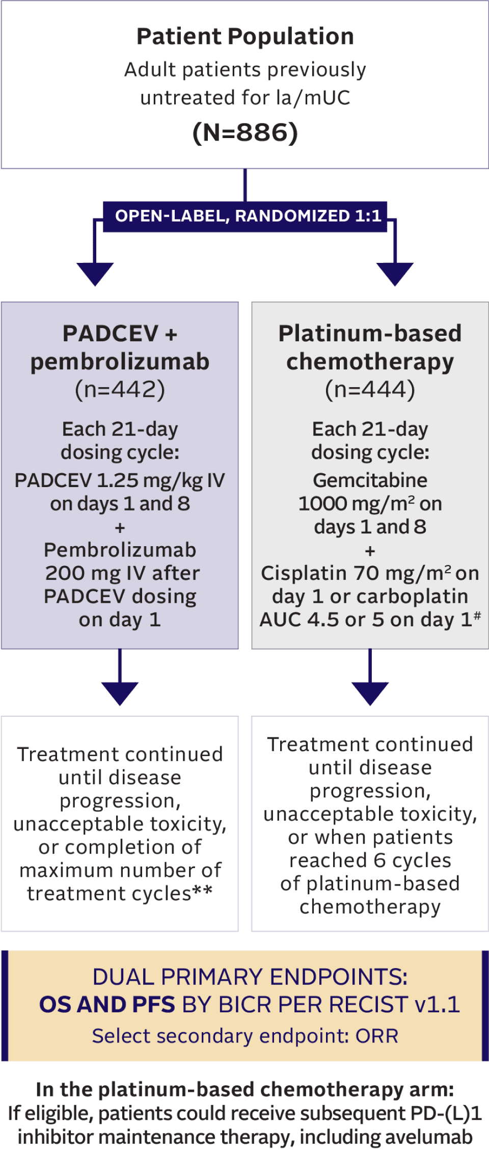 Flow chart describing EV-302 trial design.