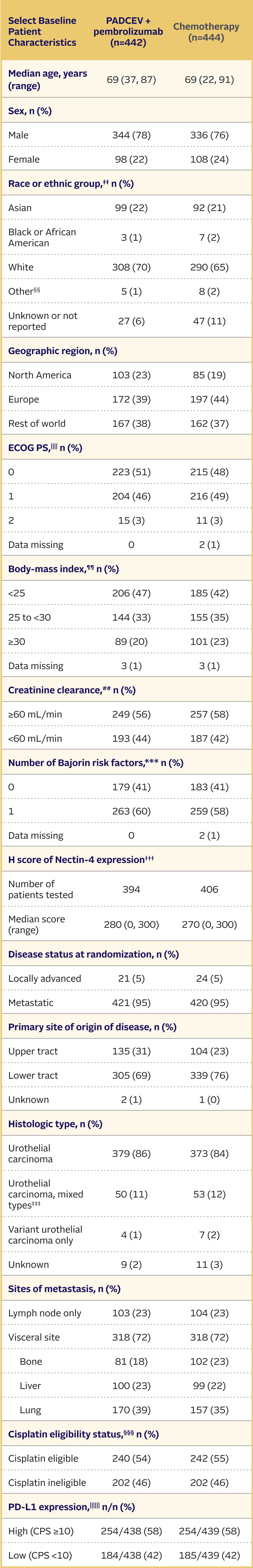 Baseline patient characteristics in the EV-103 trial.