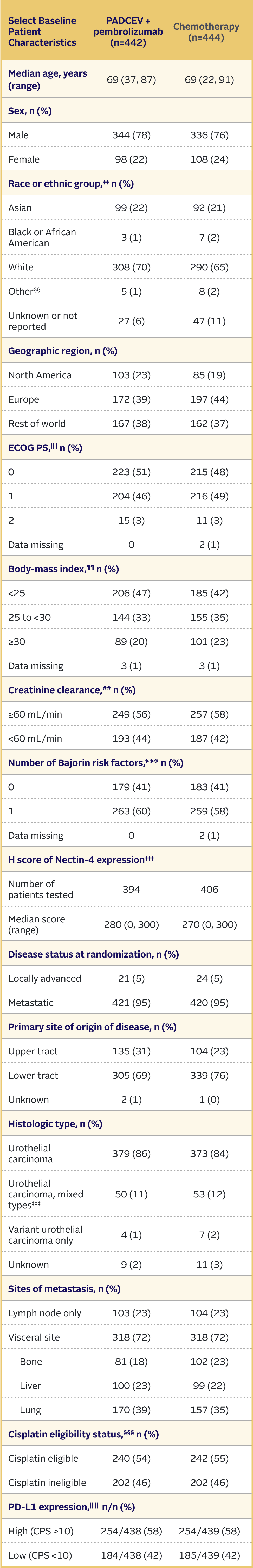 Table showing EV-302 trial baseline patient characteristics for PADCEV + pembrolizumab and chemotherapy.