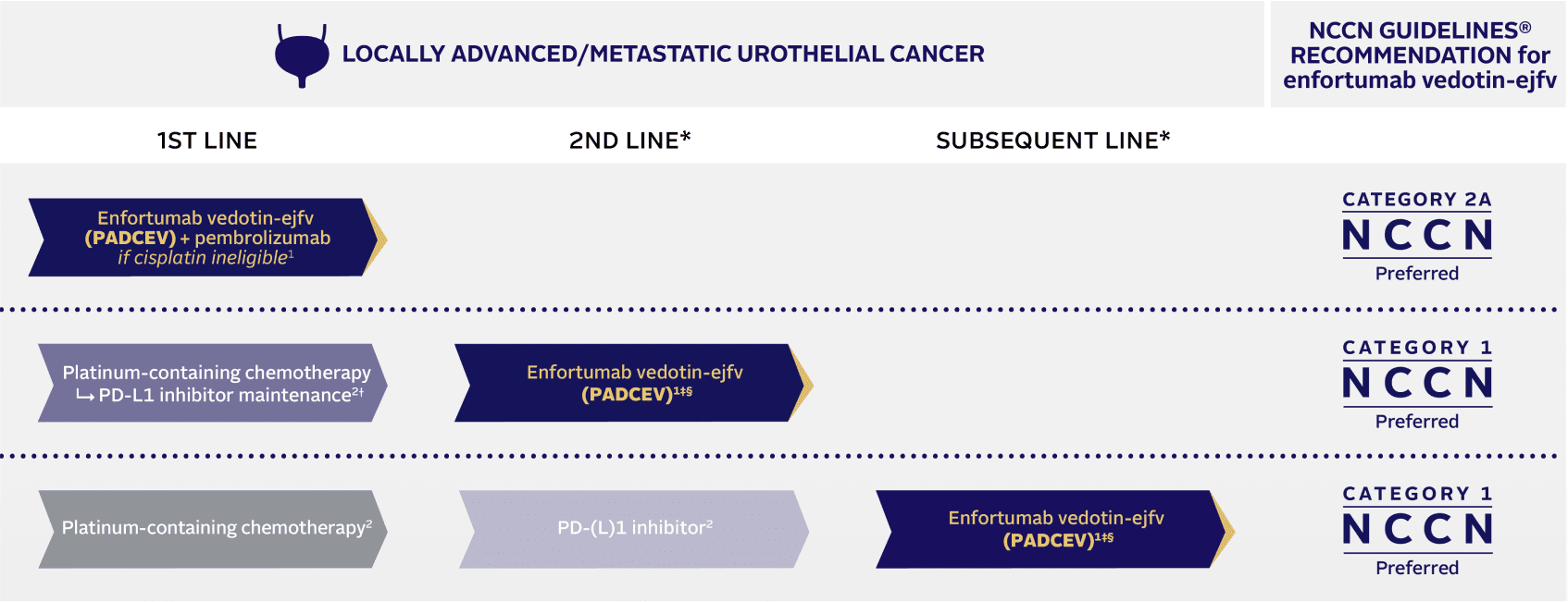NCCN Guidelines® recommendation for enfortumab vedotin-ejfv.