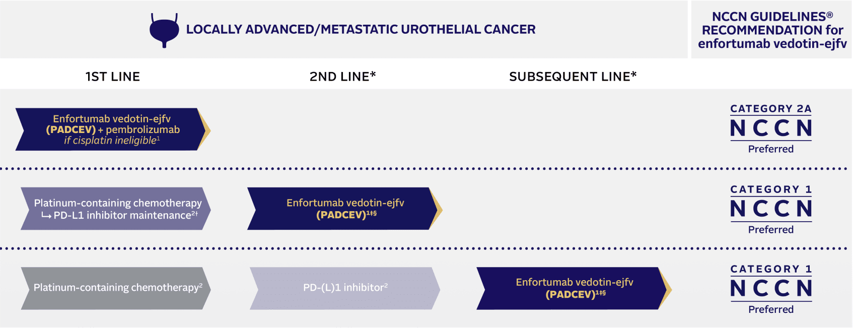 Learn about NCCN Guidelines® for enfortumab vedotinejfv (PADCEV®)