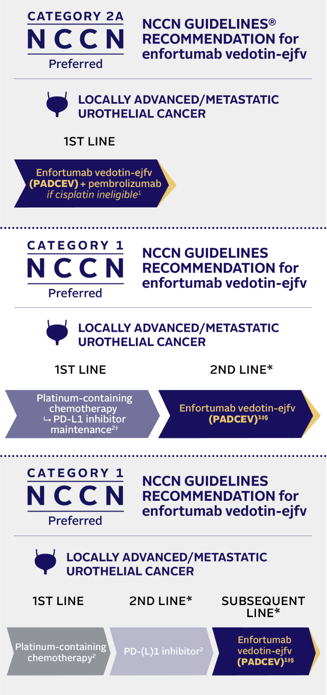 NCCN Guidelines® recommendation for enfortumab vedotin‐ejfv.