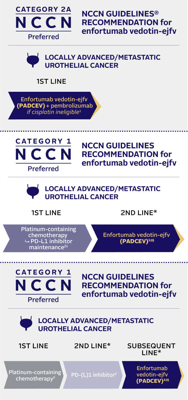 NCCN Guidelines® recommendation for enfortumab vedotin-ejfv.