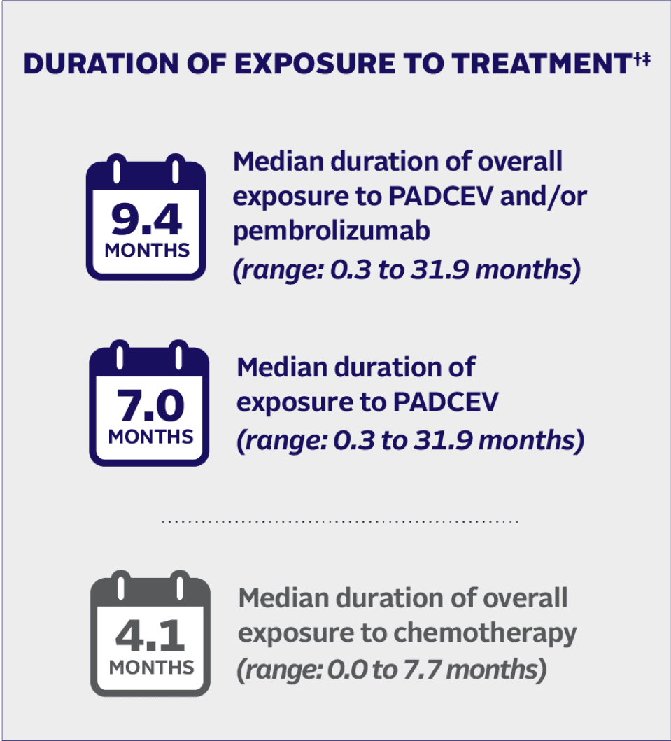 Median durations of exposure to treatment for PADCEV and/or pembrolizumab, PADCEV, and chemotherapy.