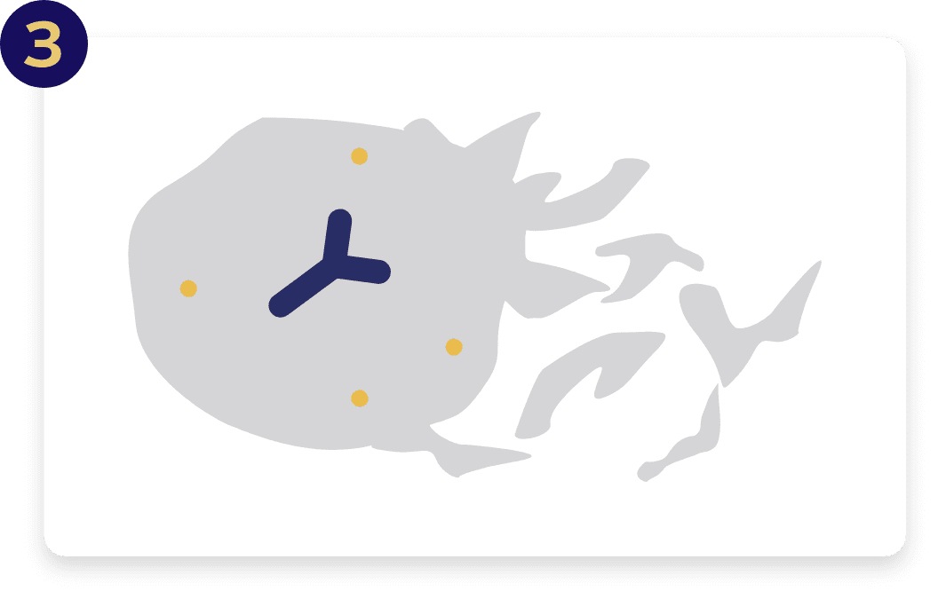 PADCEV works to damage and kill the cancer cell