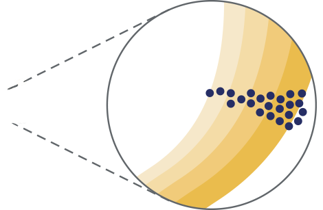 PADCEV™ (enfortumab vedotin-ejfv) | Advanced Bladder Cancer