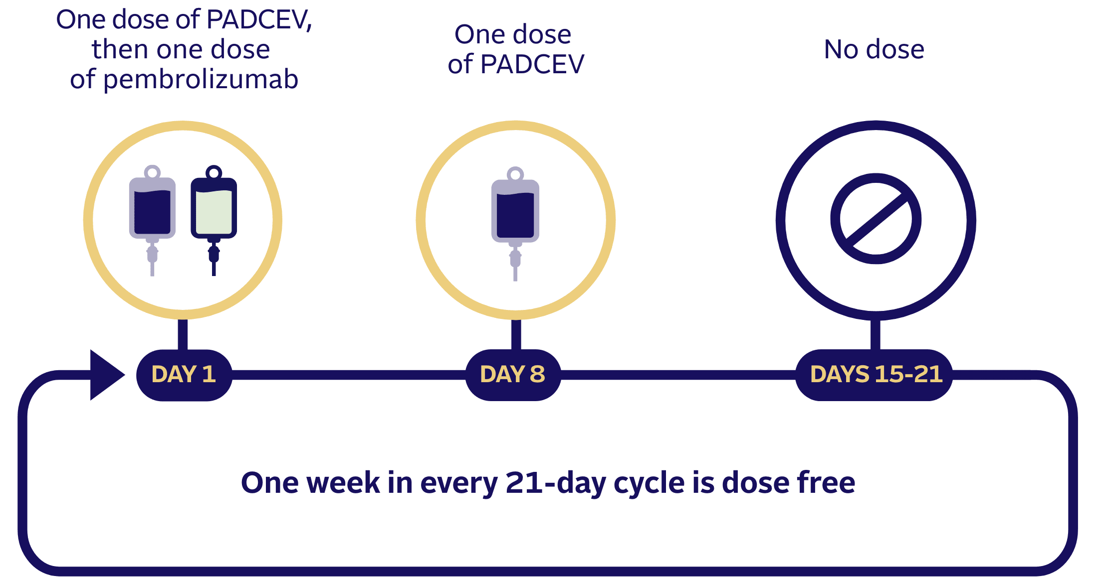 How PADCEV with pembrolizumab (also known as Keytruda®) was given in clinical studies.