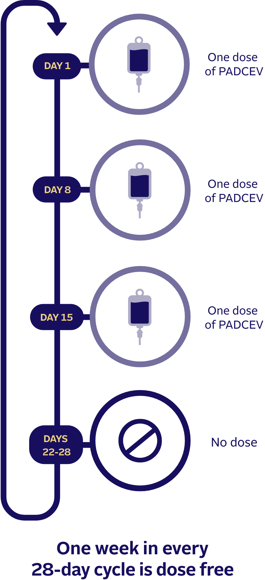 How PADCEV alone is given.