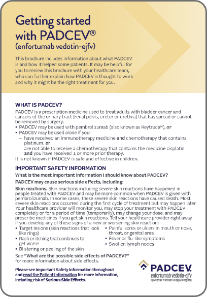 English patient and caregiver brochure downloadable PDF