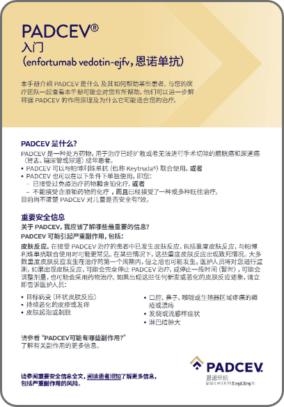 Chinese patient and caregiver brochure downloadable PDF.